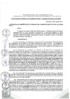 Vista preliminar de documento ra-gaf-039-2024.