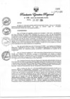 Vista preliminar de documento RE335-2024