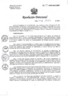 Vista preliminar de documento R.D. N°274-2024-DG-HNHU
