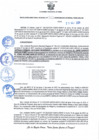 Vista preliminar de documento RDR N 317-10292024160809