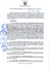 Vista preliminar de documento RDR N 318-10292024160829