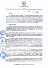 Vista preliminar de documento RDR N 319-10292024160843
