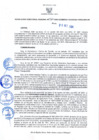 Vista preliminar de documento RDR N 320-10292024160908