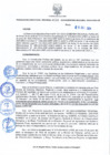 Vista preliminar de documento RDR N 321-10292024160921