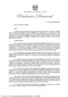 Vista preliminar de documento RD-213
