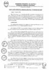 Vista preliminar de documento RGGR0346-2024