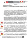 Vista preliminar de documento RDE252