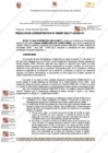 Vista preliminar de documento 387