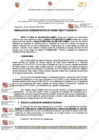 Vista preliminar de documento 391
