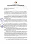 Vista preliminar de documento RG410-2024