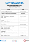 Vista preliminar de documento Red Asistencial Puno: Subasta Restringida 002-2021