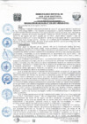 Vista preliminar de documento Resolucion315_2017