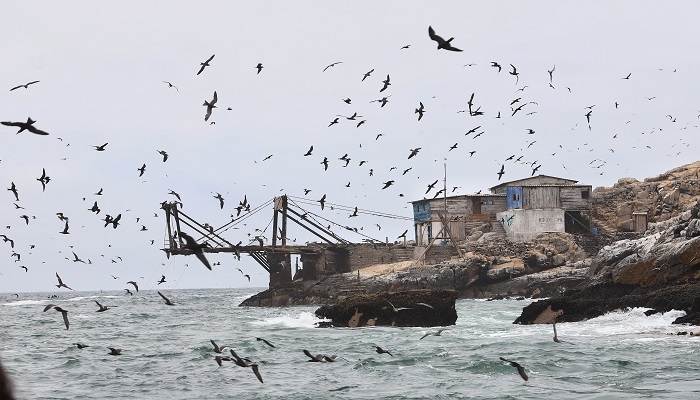 ISLA CAVINZA E ISLOTES PALOMINO 4