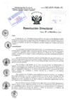 Vista preliminar de documento R.D. N° 423-2024-HNDAC-DG