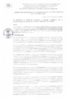Vista preliminar de documento RGSPyGA_356_2024_MDI