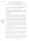 Vista preliminar de documento RGSPyGA_278_2024_MDI