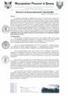 Vista preliminar de documento RGM0493-2024