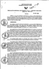 Vista preliminar de documento RGSR_2024_1111