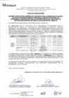 Vista preliminar de documento Red Prestacional Rebagliati
