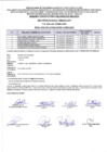 Vista preliminar de documento Evaluación Curricular – Red Prestacional Rebagliati (17/06/2024)