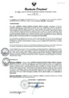 Vista preliminar de documento RESOLUCION DIRECTORAL N° 316-2024