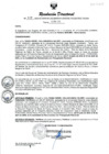 Vista preliminar de documento RESOLUCION DIRECTORAL N° 317-2024