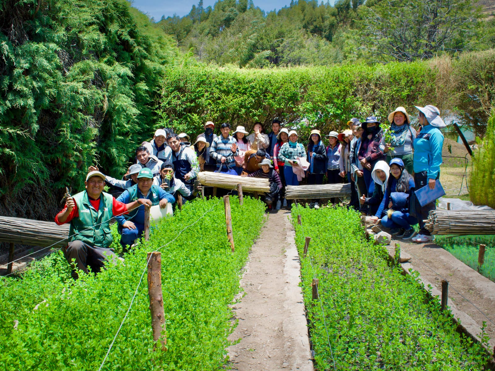 AGRO RURAL