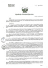 Vista preliminar de documento R.D.E. Nº217-2024-HNAL-OEA