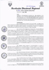 Vista preliminar de documento RDR-262-2024-GRSM-DIREPRO001