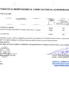 Vista preliminar de documento Modificación 125 – CMN 2024-2026