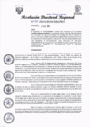Vista preliminar de documento RDR-265-2024-GRSM-DIREPRO001