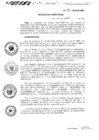 Vista preliminar de documento R.D.N.390-2024-INSN-DG