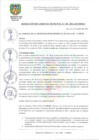 Vista preliminar de documento RESOLUCION DE GERENCIA MUNICIPAL N° 128-2024