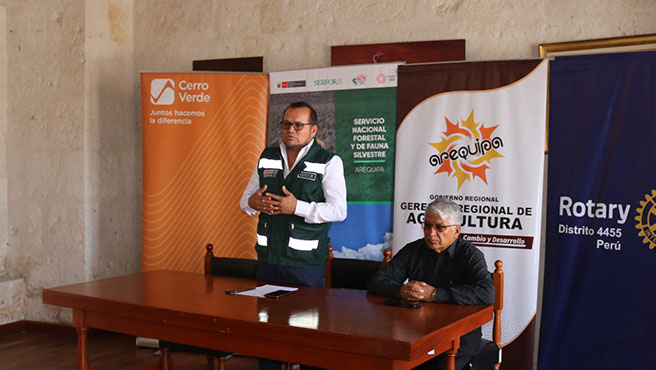sfn arequipa