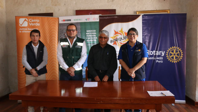 sfn arequipa