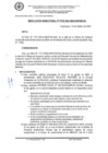 Vista preliminar de documento RESOLUCIÓN DIRECTORAL N° 0752-2024-DIGAUNHEVAL