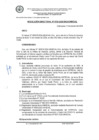 Vista preliminar de documento RESOLUCIÓN DIRECTORAL N° 0753-2024-DIGAUNHEVAL