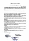 Vista preliminar de documento Acuerdo del Consejo Regional N° 096-2024