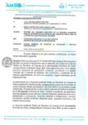 Vista preliminar de documento INFORME FINAL II AUDIENCIA PUBLICA DE MUNI AMBO_PARTE 1