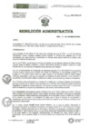 Vista preliminar de documento R.A. Nº1246-2024-HNAL-OP