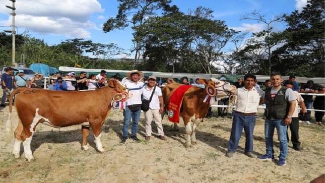 FERAGRO RM1