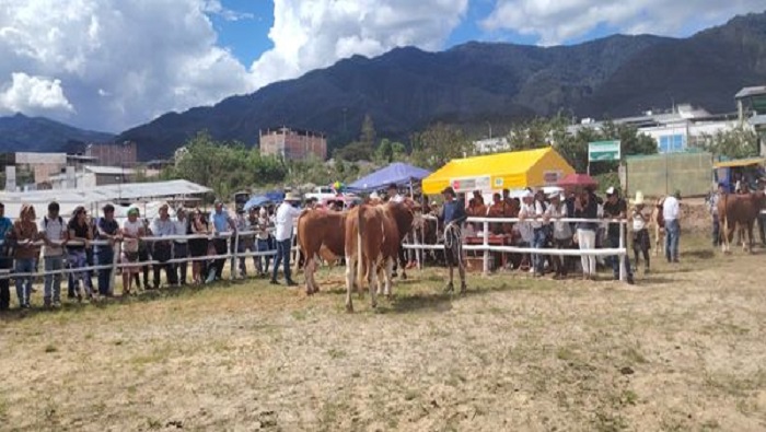 PREMIOS FRM 5