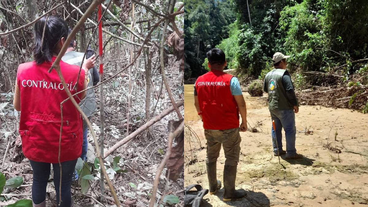 Madre de Dios.– La Contraloría General ha determinado presunta responsabilidad penal y administrativa en dos trabajadores de la Gerencia Regional Forestal y de Fauna Silvestre del Gobierno Regional de Madre de Dios, debido a la movilización injustificada de más de 450 metros cúbicos de madera rolliza, extraída de zonas no autorizadas.