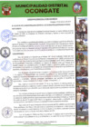 Vista preliminar de documento Ordenanza Municipal N° 008-2024-MDO-Q