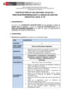 Vista preliminar de documento CONVOCATORIA N° 022-2024-PROFESIONALES- ARH