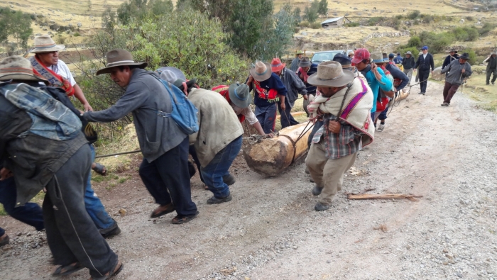 Ministerio de Cultura declaró Patrimonio Cultural de la Nación a la costumbre de faena festiva de tala y traslado de troncos “Kurku Haily"