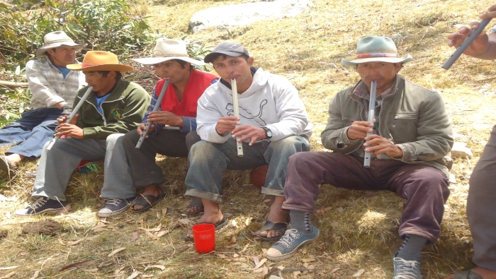 Ministerio de Cultura declaró Patrimonio Cultural de la Nación a la costumbre de faena festiva de tala y traslado de troncos “Kurku Haily"