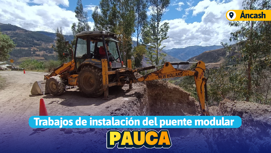 pauca
