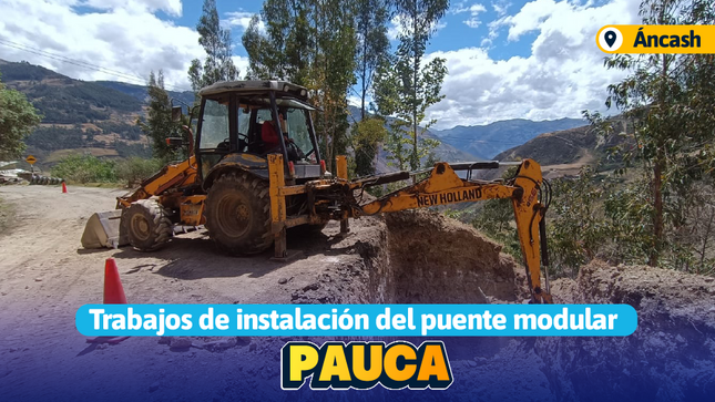 pauca