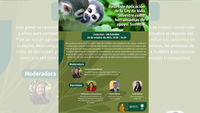 COP16: presidencia de SudWEN considera imprescindible la preservación de la vida silvestre para abordar desafíos ambiental 2